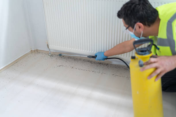 Best Residential Pest Control  in South Wenatchee, WA